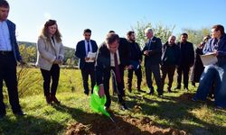 Kastamonu Üniversitesi’nde 100 fidan dikildi