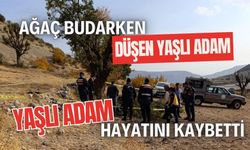 Ağaç budarken düşen yaşlı adam hayatını kaybetti