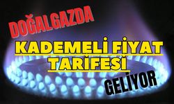 Doğalgazda kademeli fiyat tarifesi geliyor