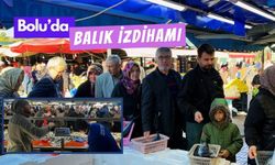 Bolu'da balık izdihamı