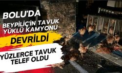 Beypiliç’in tavuk yüklü kamyonu devrildi: Yüzlerce tavuk telef oldu