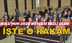 Bolu'nun 2025 yılı bütçesi belli oldu