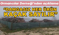 Bolu Ormancılar Derneği’nden açıklama, “Damgasız her ürün kaçak sayılır”