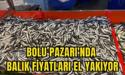 Bolu Pazarı'nda Balık Fiyatları El Yakıyor