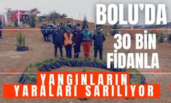 Bolu’da 30 bin fidanla yangınların yaraları sarılıyor