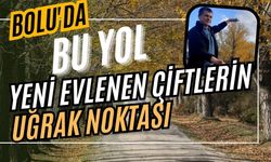 Bolu'da bu yol yeni evlenen çiftlerin uğrak noktası