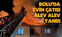 Bolu'da evin çatısı alev alev yandı