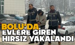 Bolu'da evlere giren hırsız yakalandı