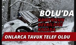 Bolu'da kamyonun devrildiği kazada onlarca tavuk telef oldu