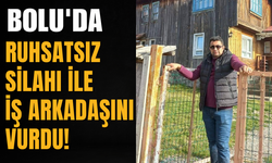 Bolu'da ruhsatsız silahı ile iş arkadaşını vurdu!