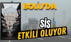 Bolu'da sis etkili oluyor