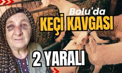 Bolu'da keçi kavgası; 2 yaralı