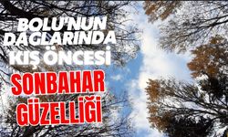 Bolu'nun dağlarında kış öncesi sonbahar güzelliği