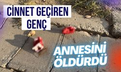 Cinnet geçiren genç annesini öldürdü