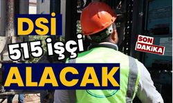 DSİ, 515 işçi alacak