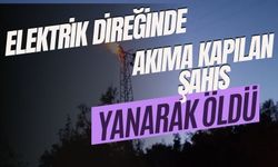 Elektrik direğinde akıma kapılan şahıs yanarak öldü