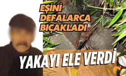 Eşini defalarca bıçakladı, yakayı ele verdi