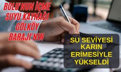 Bolu'nun içme suyu kaynağı Gölköy Barajı'nın su seviyesi karın erimesiyle yükseldi