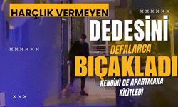 Harçlık alamadığı dedesini bıçakladı