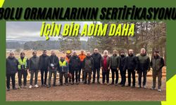 Bolu ormanlarının sertifikasyonu için bir adım daha