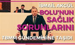 İsmail Akgül, Bolu'nun Sağlık Sorunlarını TBMM Gündemine Taşıdı