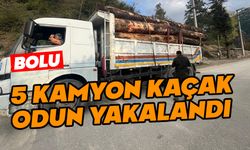 Kaçak odun dolu kamyonlar yakalandı