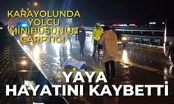 Karayolunda yolcu minibüsünün çarptığı yaya hayatını kaybetti