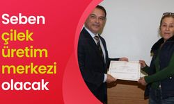 Seben çilek üretim merkezi olacak