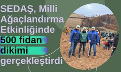 SEDAŞ, Milli Ağaçlandırma Etkinliğinde 500 fidan dikimi gerçekleştirdi