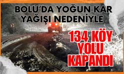 Bolu’da yoğun kar yağışı nedeniyle 134 köy yolu kapandı