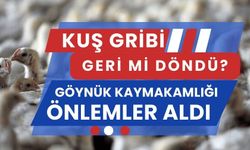 Kuş gribi geri mi döndü? Göynük Kaymakamlığı önlemler aldı