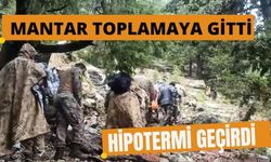 Mantar toplamaya gitti, hipotermi geçirdi