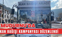 Mudurnu'da kan bağışı kampanyası düzenlendi