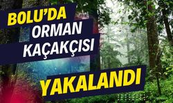 Bolu’da orman kaçakçısı yakalandı