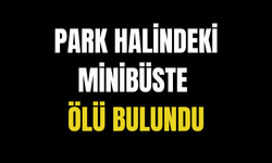 Park halindeki minibüste ölü bulundu