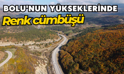 Bolu'nun yükseklerinde renk cümbüşü