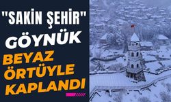 "Sakin şehir" Göynük beyaz örtüyle kaplandı