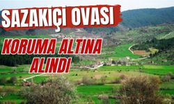 Sazakiçi ovası koruma altına alındı