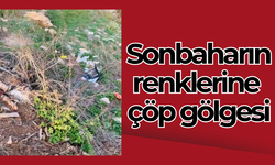 Sonbaharın renklerine çöp gölgesi