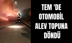 TEM 'de otomobil alev topuna döndü