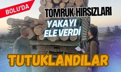 Tomruk hırsızları yakayı ele verdi: Tutuklandılar