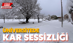 Üniversitede kar sessizliği