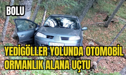 Yedigöller yolunda otomobil ormanlık alana uçtu