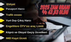 2025 zam oranı % 43,93 oldu