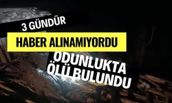 3 gündür haber alınamıyordu, odunlukta ölü bulundu