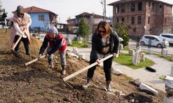 Park ve Bahçeler Müdürlüğü ekipleri bu sefer tarihi kentte kazı yaptı