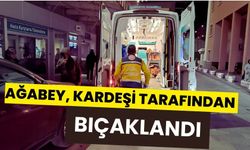 Ağabey, kardeşi tarafından bıçaklandı