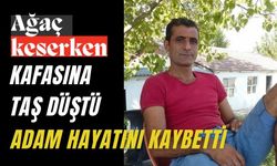 Ağaç keserken kafasına taş düşen adam hayatını kaybetti