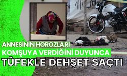 Annesinin horozları komşuya verdiğini duyunca tüfekle dehşet saçtı