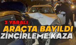 Seyir halindeyken bayılınca kazaya neden oldu